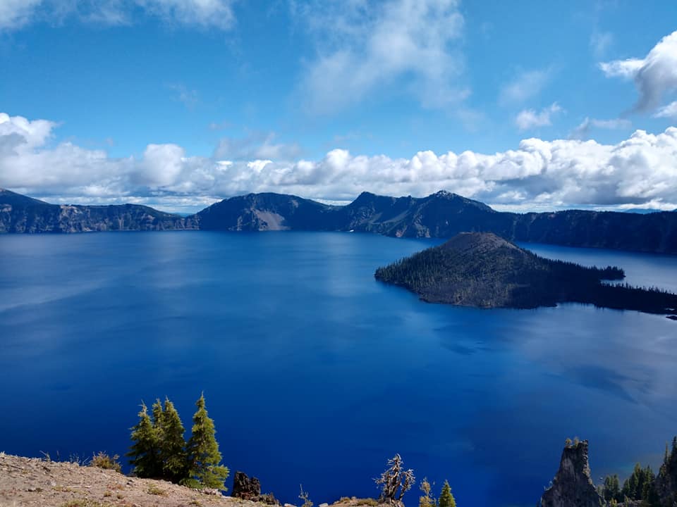 Wintering Forward: What 2025 Taught Us & Where We’re Walking in 2026